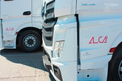 alca-13